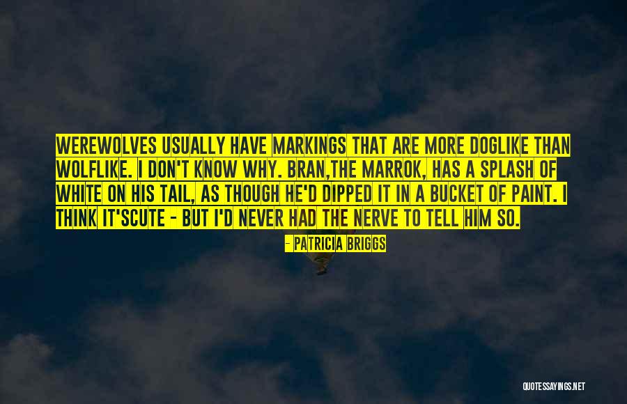 Extractor Depot Quotes By Patricia Briggs Extractor Depot Quotes By Patricia Briggs