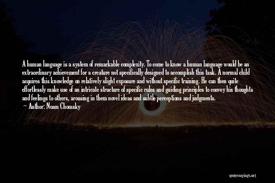 Extraordinary Achievement Quotes By Noam Chomsky