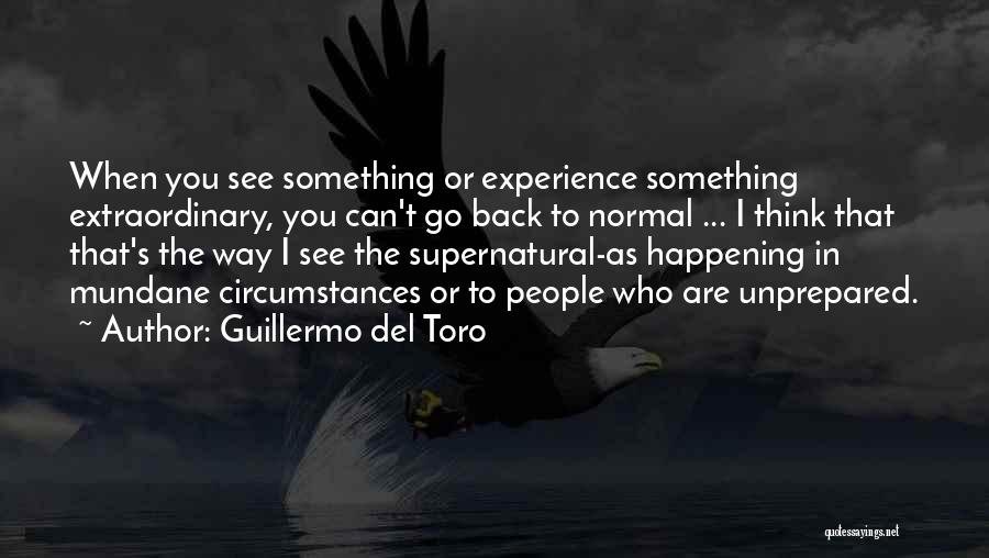 Extraordinary Experience Quotes By Guillermo Del Toro