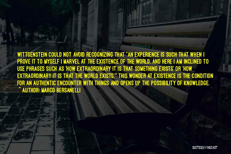 Extraordinary Experience Quotes By Marco Bersanelli