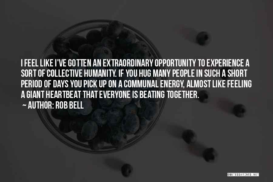 Extraordinary Experience Quotes By Rob Bell