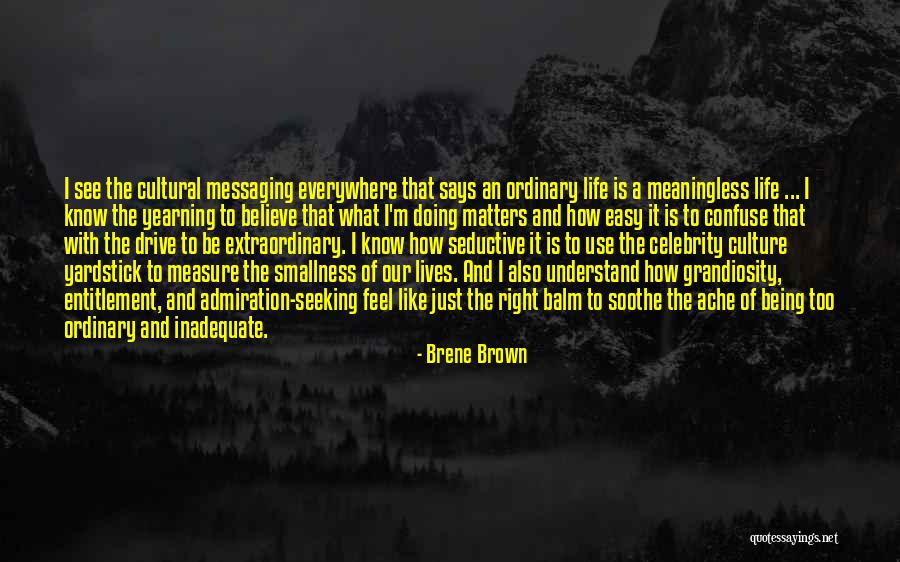 Extraordinary Lives Quotes By Brene Brown Extraordinary Lives Quotes By Brene Brown