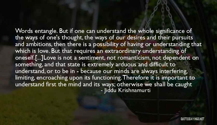 Extraordinary Minds Quotes By Jiddu Krishnamurti