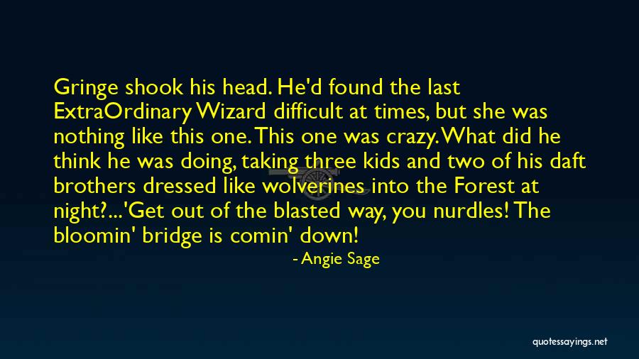 Extraordinary Times Quotes By Angie Sage Extraordinary Times Quotes By Angie Sage