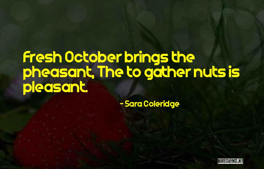 Extravagant Youtube Quotes By Sara Coleridge Extravagant Youtube Quotes By Sara Coleridge