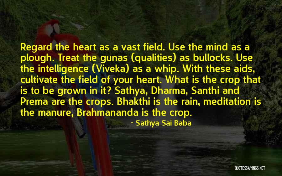 Extremadamente Inflamable Quotes By Sathya Sai Baba Extremadamente Inflamable Quotes By Sathya Sai Baba