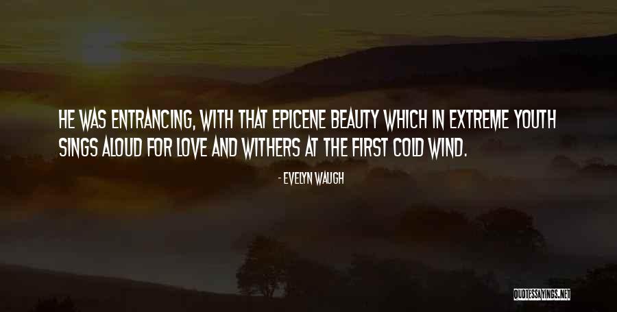 Extreme Beauty Quotes By Evelyn Waugh Extreme Beauty Quotes By Evelyn Waugh