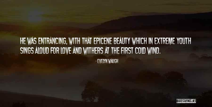 Extreme Beauty Quotes By Evelyn Waugh