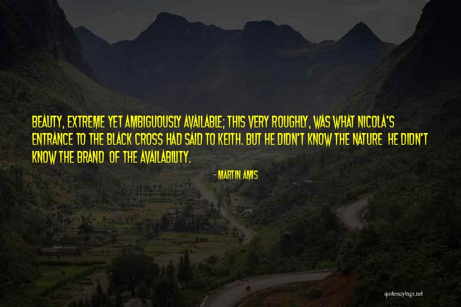 Extreme Beauty Quotes By Martin Amis Extreme Beauty Quotes By Martin Amis
