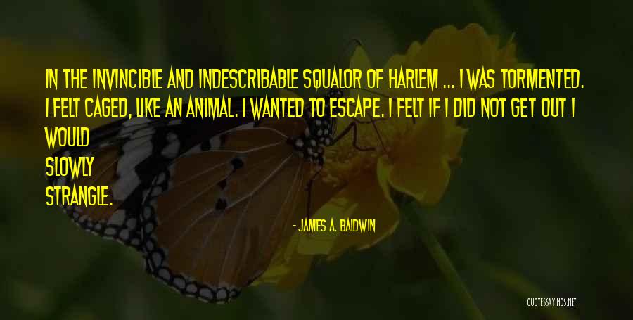 Extremely Deep Love Quotes By James A. Baldwin Extremely Deep Love Quotes By James A. Baldwin