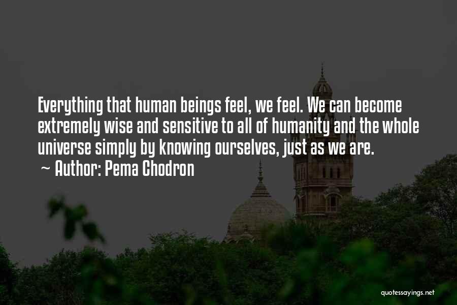 Extremely Wise Quotes By Pema Chodron