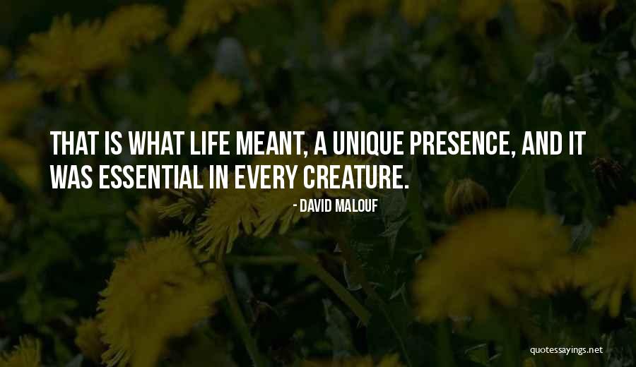 Extremeness Synonyms Quotes By David Malouf Extremeness Synonyms Quotes By David Malouf