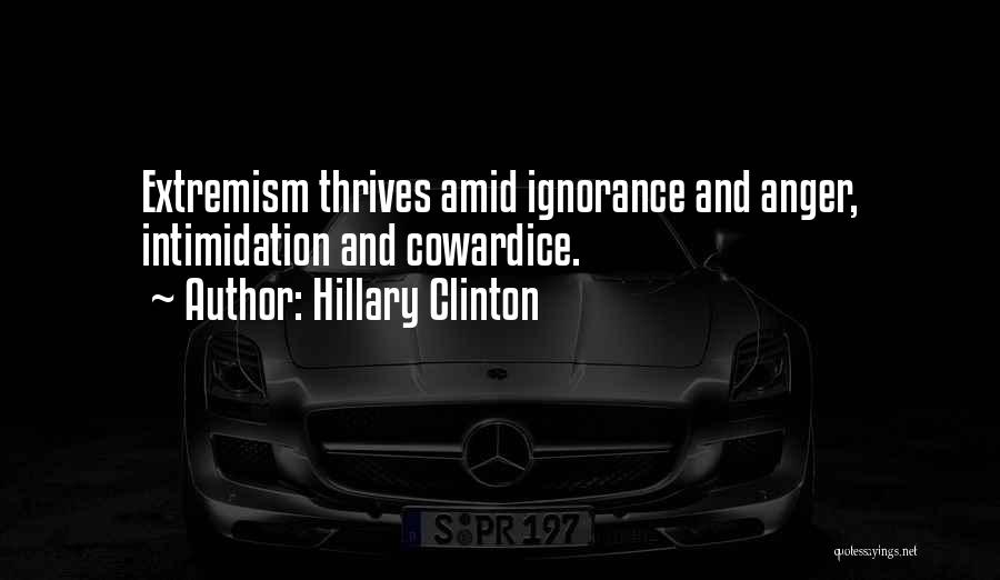 Extremism Quotes By Hillary Clinton