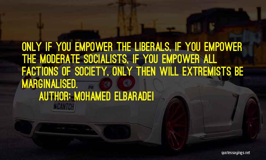 Extremists Quotes By Mohamed ElBaradei