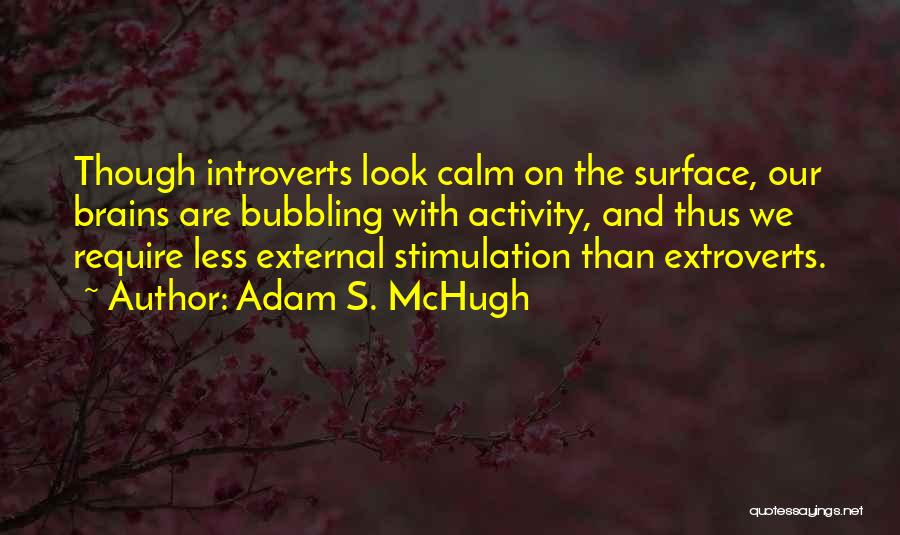 Extroverts Quotes By Adam S. McHugh