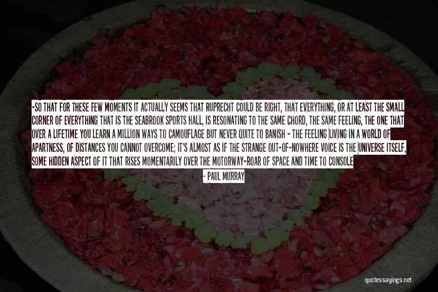 Exuberante Que Quotes By Paul Murray Exuberante Que Quotes By Paul Murray