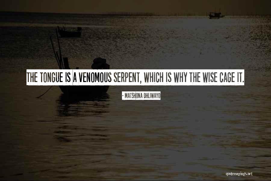 Exudation Pressure Quotes By Matshona Dhliwayo