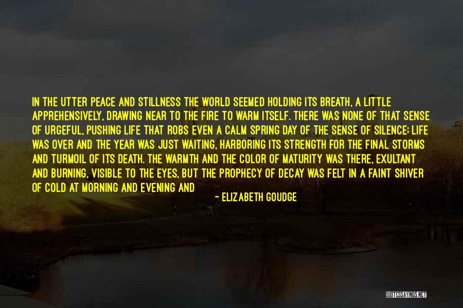 Exultant Quotes By Elizabeth Goudge