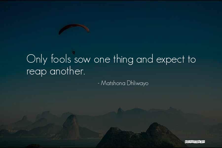 Exultet Quotes By Matshona Dhliwayo Exultet Quotes By Matshona Dhliwayo