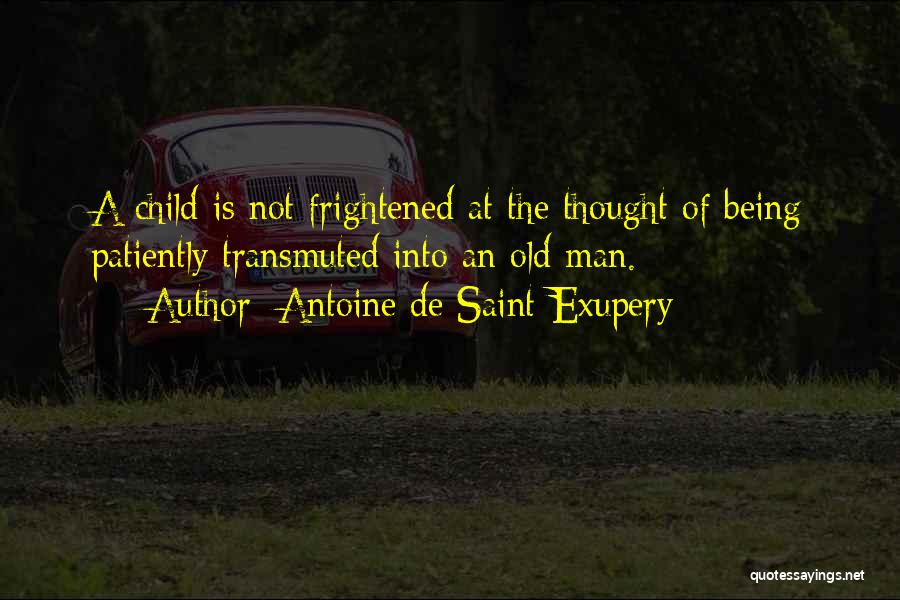 Exupery Quotes By Antoine De Saint-Exupery