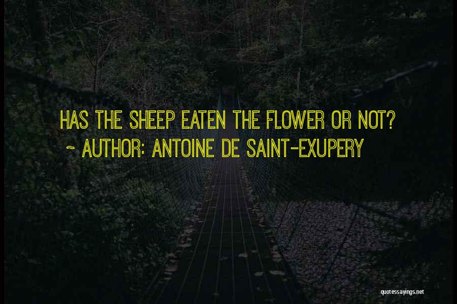 Exupery Quotes By Antoine De Saint-Exupery