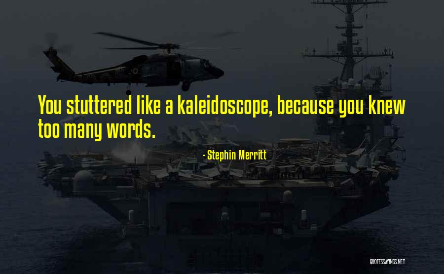 Eyal Weizman Quotes By Stephin Merritt Eyal Weizman Quotes By Stephin Merritt