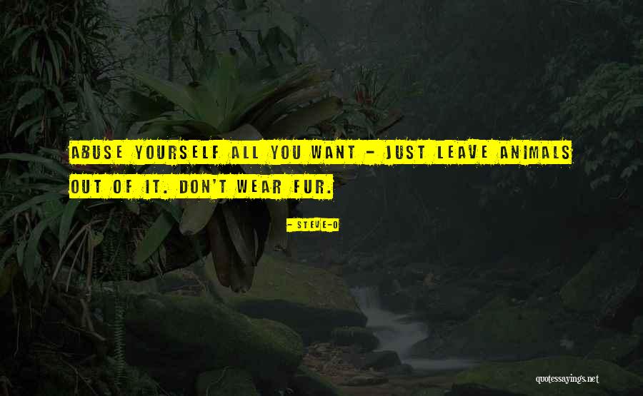 Eyal Yanilov Quotes By Steve-O