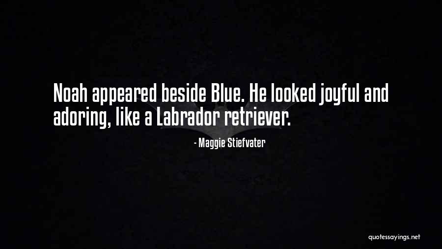 Eydie Quotes By Maggie Stiefvater Eydie Quotes By Maggie Stiefvater