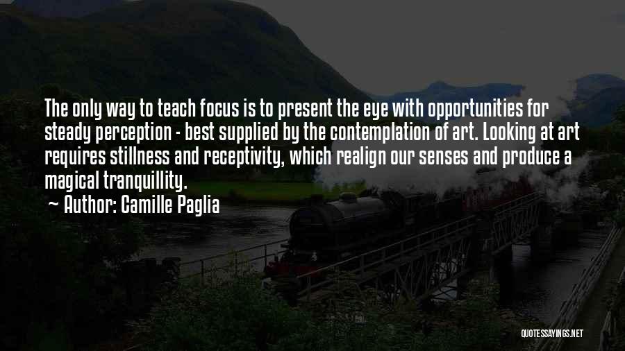 Eye And Art Quotes By Camille Paglia