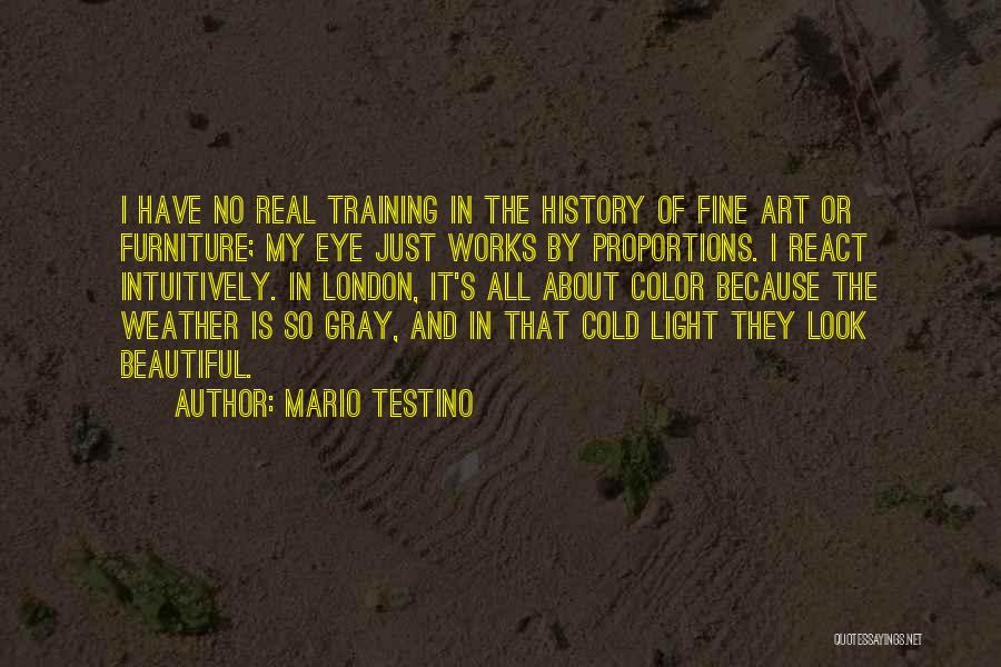 Eye And Art Quotes By Mario Testino