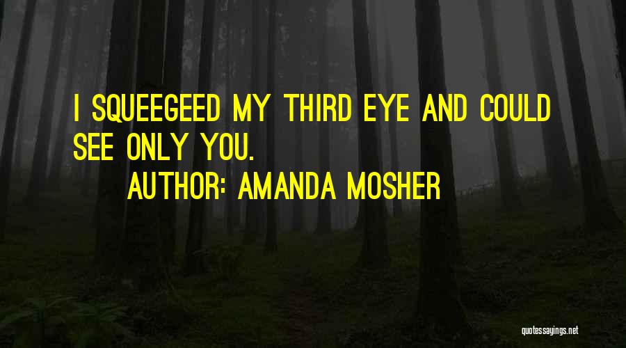 Eye And Love Quotes By Amanda Mosher