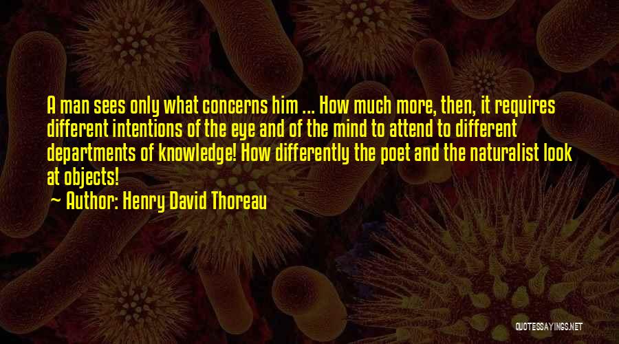 Eye And Mind Quotes By Henry David Thoreau