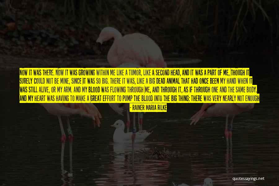 Eye And Mouth Quotes By Rainer Maria Rilke Eye And Mouth Quotes By Rainer Maria Rilke
