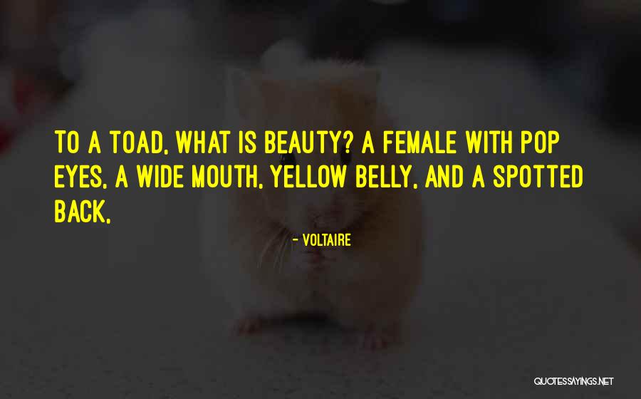 Eye And Mouth Quotes By Voltaire Eye And Mouth Quotes By Voltaire