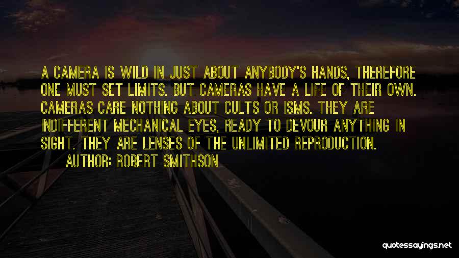 Eye Care Quotes By Robert Smithson