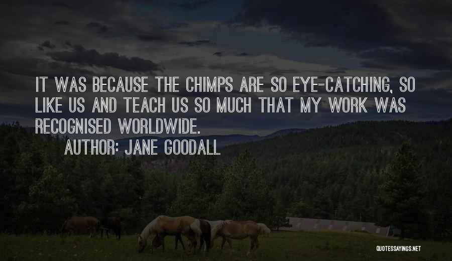 Eye Catching Quotes By Jane Goodall