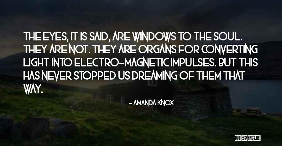 Eye Dream Quotes By Amanda Knox