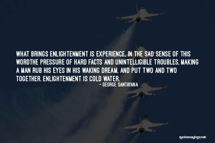 Eye Dream Quotes By George Santayana