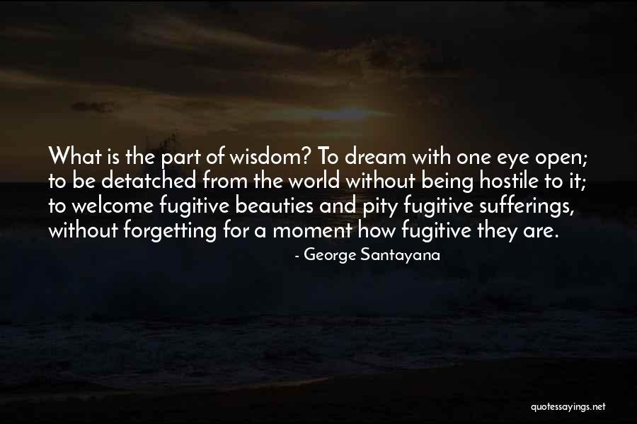 Eye Dream Quotes By George Santayana Eye Dream Quotes By George Santayana