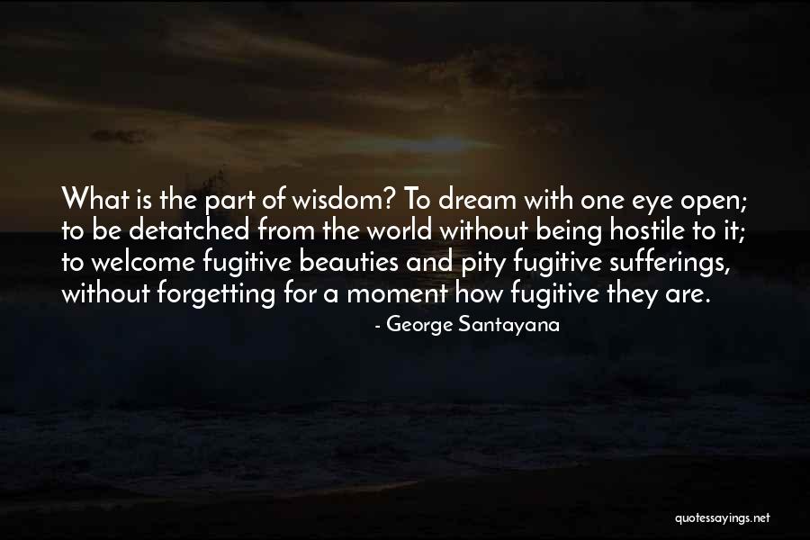 Eye Dream Quotes By George Santayana