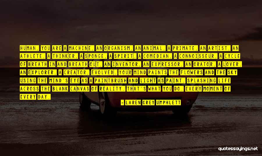 Eye In The Sky Quotes By Laren Grey Umphlett Eye In The Sky Quotes By Laren Grey Umphlett