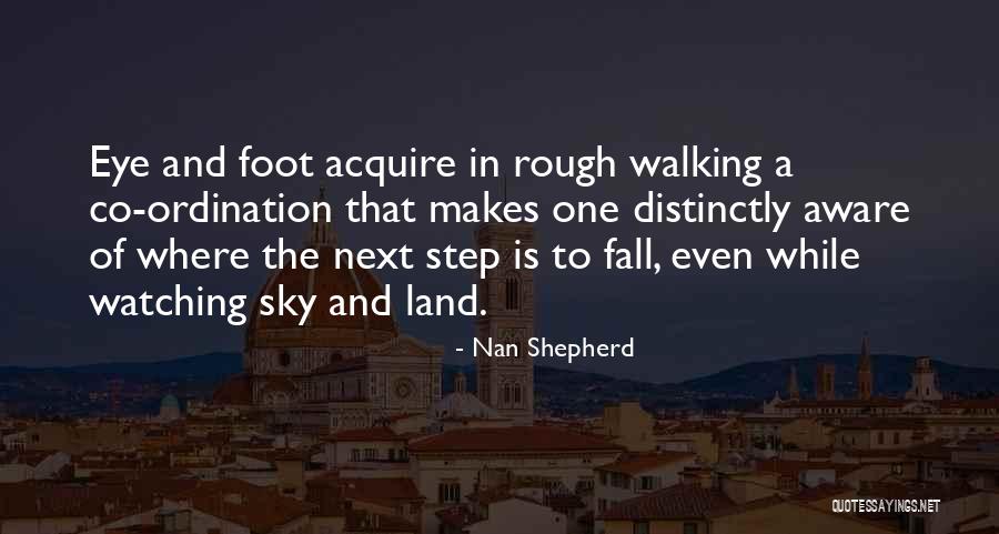 Eye In The Sky Quotes By Nan Shepherd Eye In The Sky Quotes By Nan Shepherd