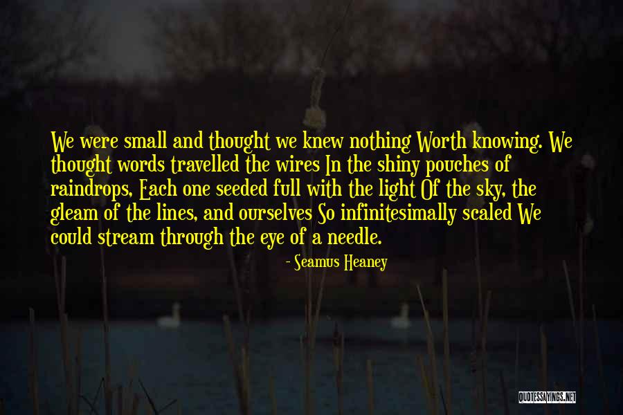 Eye In The Sky Quotes By Seamus Heaney Eye In The Sky Quotes By Seamus Heaney