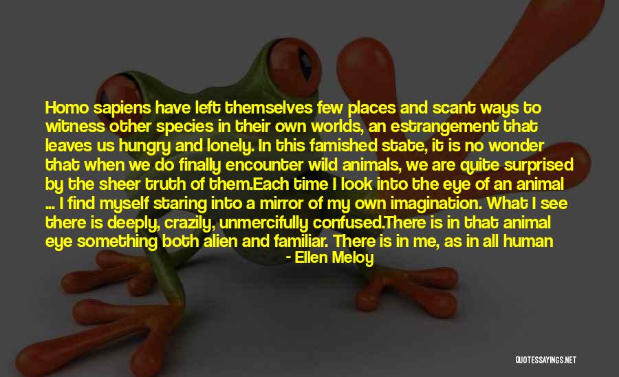 Eye Of Minds Quotes By Ellen Meloy Eye Of Minds Quotes By Ellen Meloy