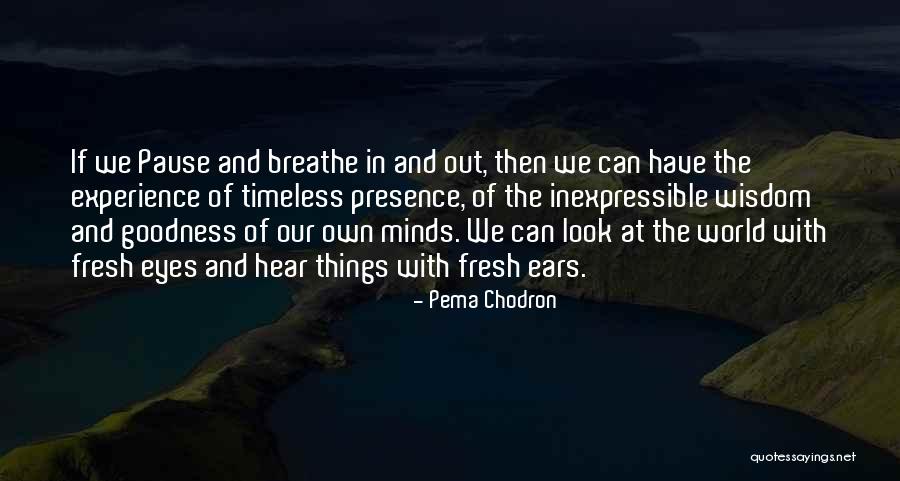Eye Of Minds Quotes By Pema Chodron Eye Of Minds Quotes By Pema Chodron