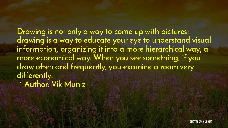 Eye Pictures Quotes By Vik Muniz