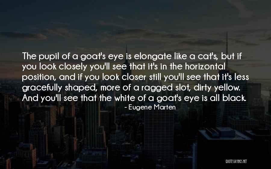 Eye Pupil Quotes By Eugene Marten Eye Pupil Quotes By Eugene Marten