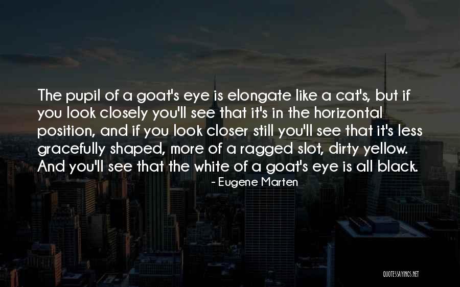 Eye Pupil Quotes By Eugene Marten