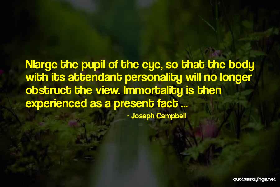 Eye Pupil Quotes By Joseph Campbell