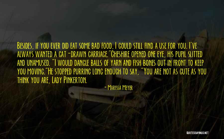 Eye Pupil Quotes By Marissa Meyer Eye Pupil Quotes By Marissa Meyer